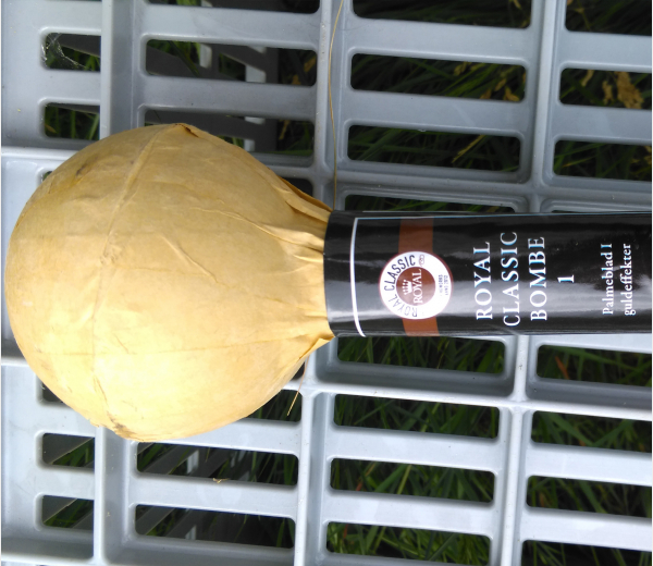 Royal Classic Bombe