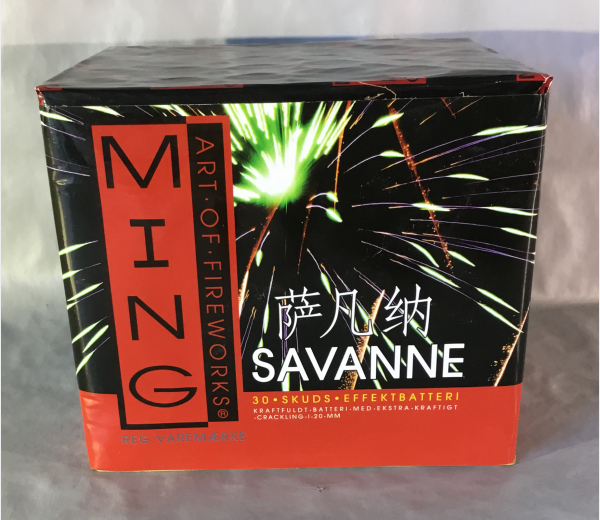 SAVANNE